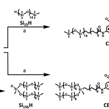 Synthetic Route Toward The Formation Of Cbt Si And Cbt Si B A