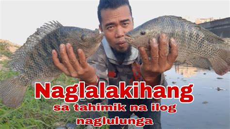 Catch And Cook May Nakita Akung Hito Na Patay Ginisang Monggo At