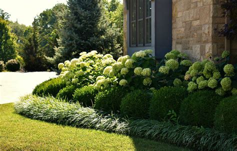 Landscape Foundation Planting