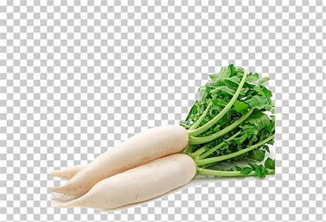 Daikon Radishes Root Vegetables Png Clipart Carrot Cruciferous