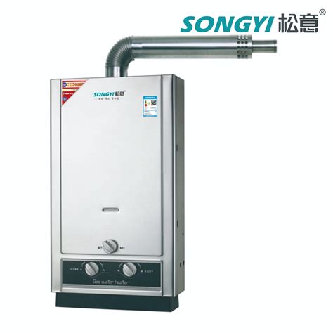 Gas Tankless 6 12L Hermetic Water Heater Indoor Installation Instant Hot Water Heater With