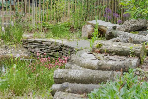 Tuin Met Inheemse Beplanting Janse En Berkhof Tuinen