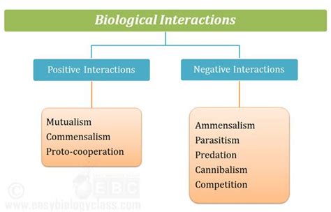 Competition Examples Biology