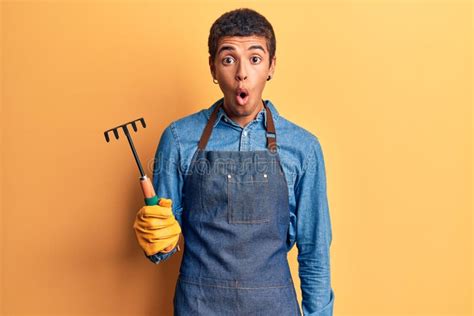 Joven Estadounidense De Origen Americano Que Lleva Delantal Y Guantes