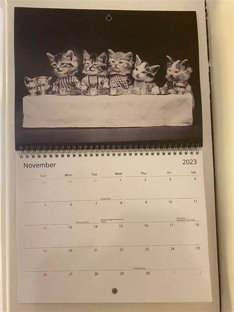 2023 Vintage Cats Calendar, Funny Cat Wall Calendar, Classic Black and ...