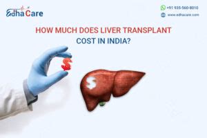 Liver Transplant Cost In India Contact Edhacare