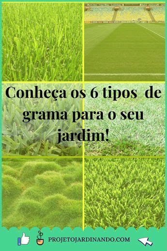 Gramados Perfeitos Guia Completo Projeto Jardinando Trong 2024