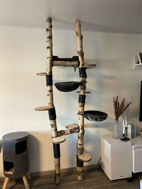 Diy Kratzbaum Aus Birke Selbstgebauter Katzen Kratzbaum Aus