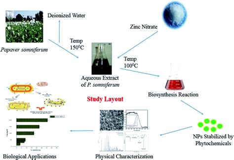 Optical Morphological And Biological Analysis Of Zinc Oxide