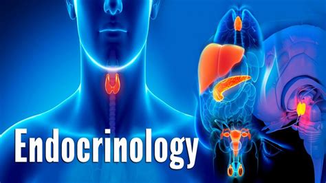 Free Course: Endocrinology from CEC | Class Central