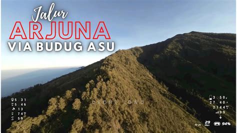 Jelajah Jalur MISTIS Gunung ARJUNA Via Budug Asu Sampai RX LOST