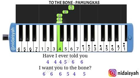 NOT ANGKA PIANIKA TO THE BONE PAMUNGKAS TUTORIAL MUDAH MAIN PIANIKA