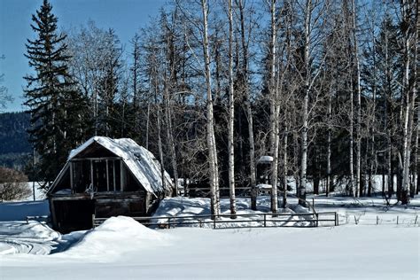 Free Images Landscape Tree Snow Winter Farm Old Barn Rustic