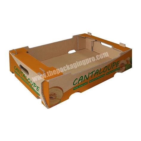 Customized Fruit Corrugated Box For Mango Cherry Packing Carton Size