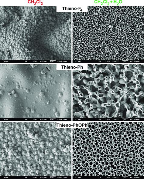 Sem Images Of Polymer Surfaces Obtained From Thieno F Thieno Ph