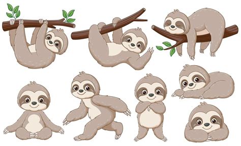 Set Of Cute Baby Sloths Cartoon Animal Nature Icon Concept Isolated