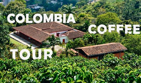 Colombia Coffee Tour Tutto Quello Che Cè Da Sapere 2025