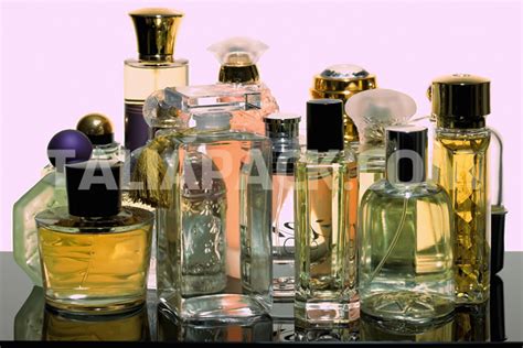 Botol Parfum Bermerk Yang Terkenal Di Dunia Parfum Talia Pack