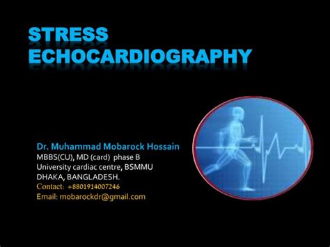 Stress Echocardiography Report Sample