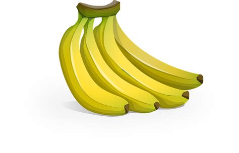 Bananer Frugt Mad Gul Gratis vektor grafik på Pixabay