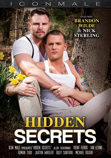 Watch Hidden Secrets Gay AEBN