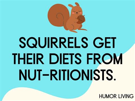 70+ Funny Squirrel Puns That’ll Make You Go Nuts - Humor Living