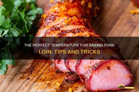The Perfect Temperature For Baking Pork Loin: Tips And Tricks | ShunGrill