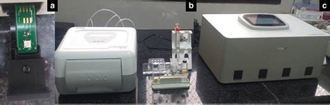 Diagram Of Truenat Molbio Diagnostics Pvt Ltd Tirupati India A Download Scientific