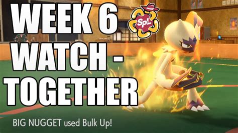 Pokemon Draft League Week Watch Together Youtube