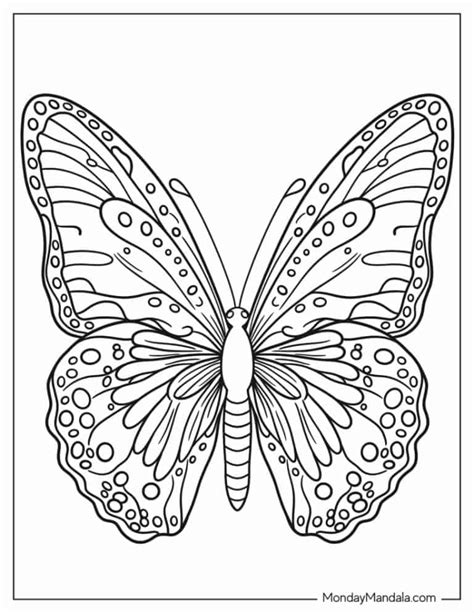 62 Butterfly Coloring Pages Free Pdf Printables