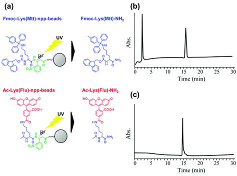 A Release Of Fmoc Lys Mtt Nh And Ac Lys Flu Nh From The
