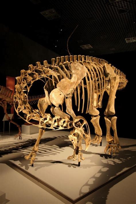 The Six Weirdest Dinosaurs To Actually Exist