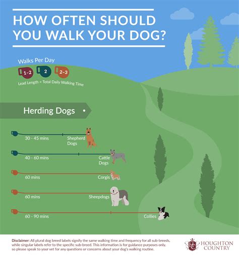 How Long Should My Dog Walk