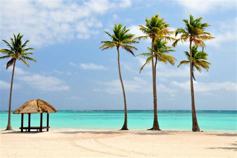 Descubra as melhores praias em Punta Cana para curtir o verão Blog