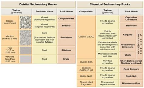 Sedimentary And Metamorphic Rocks Flashcards Quizlet