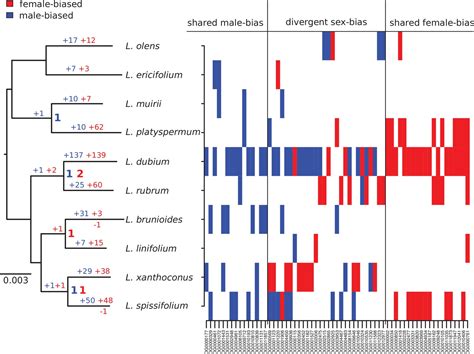 High Rates Of Evolution Preceded Shifts To Sex Biased Gene Expression