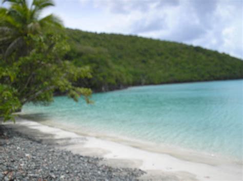 St John Usvi Cinnamon Bay Cinnamon Bay Amber Smo Flickr