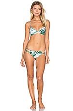 MIKOH Belize Bikini Top In Botanical Forest REVOLVE