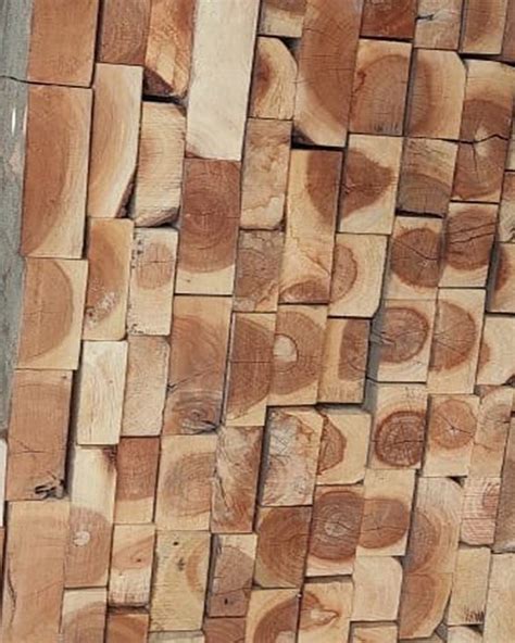 Brown Rectangular Neem Wood Log For Furniture Thickness 75mm At Rs