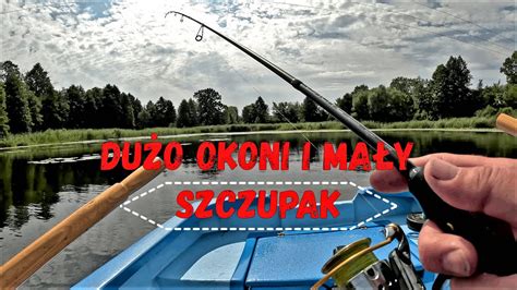 Dużo okoni i mały szczupak YouTube