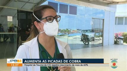 Atendimentos Por Picadas De Cobra Aumentam No Trauma De Campina