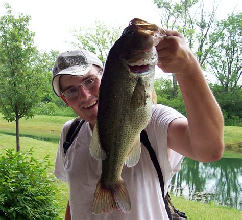 The Day My Love for Bass Fishing Hit High Gear – Fishing For Beginners