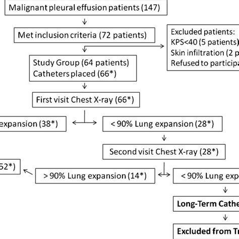 A Pigtail Catheter And Heimlich Valve B And C Catheter Insertion