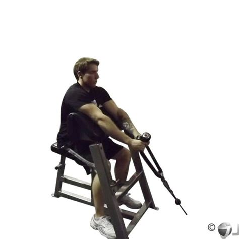 Rope Cable Preacher Curl By Odin S Exercise How To Skimble