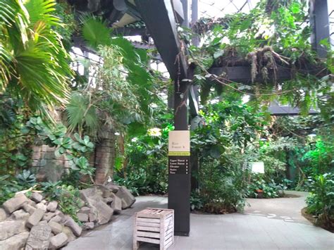 The RainForest at the Cleveland Zoo | Red Brick Road Studio