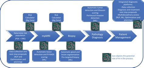 Artificial Intelligence Assisted Prostate Cancer Diagnosis Radiologic