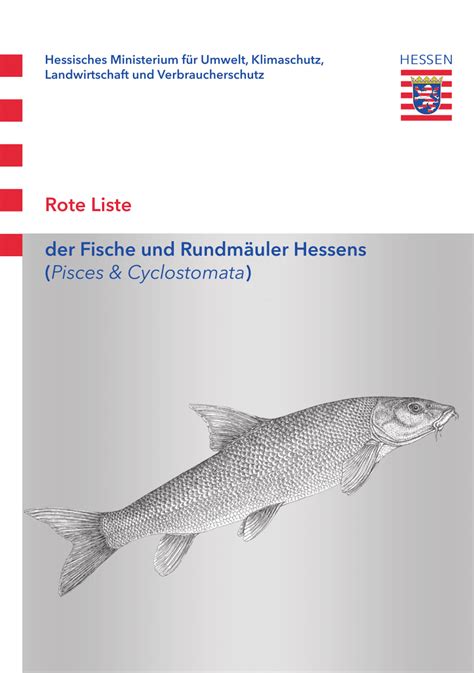 Aland Fisch Englisch Fischlexikon