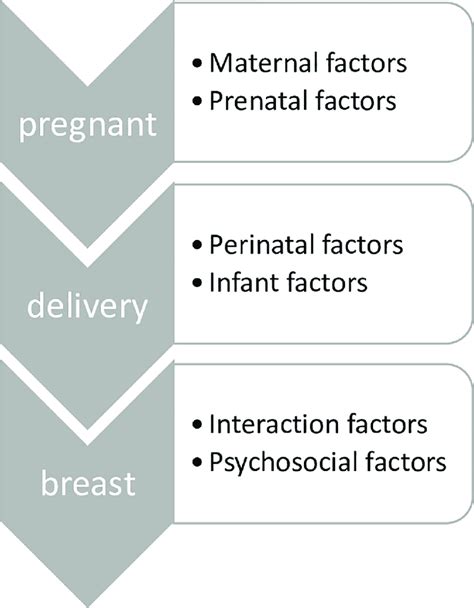 Conceptual Model Illustrating How Different Factors Over Time Influence Download Scientific