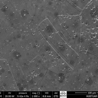 SEM Micrograph Showing Deformation Induced Martensite Formation In