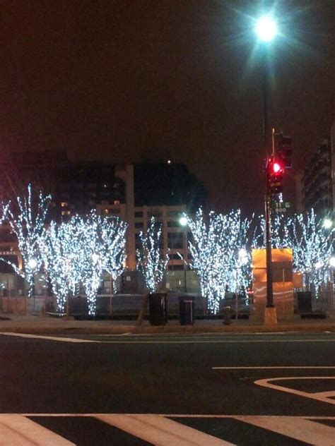 Washington D.C. Christmas lights.